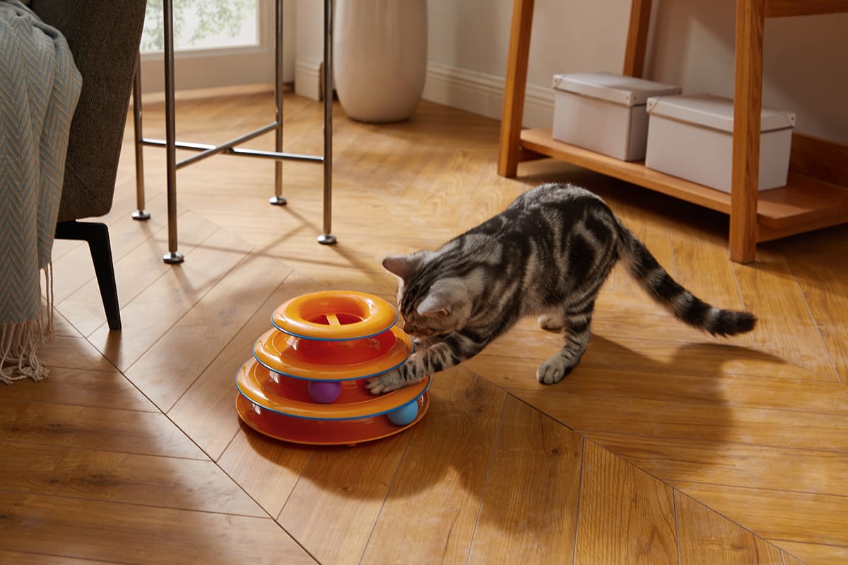 Cat Ball Toys