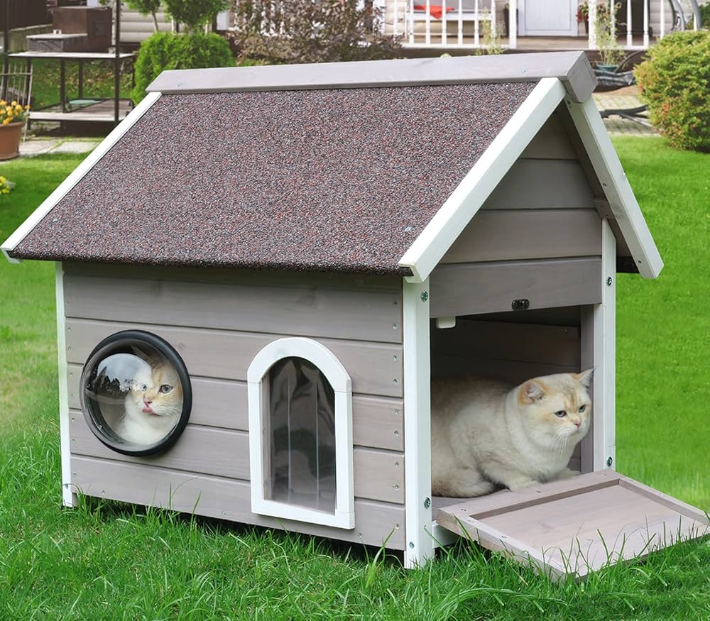 Cat House