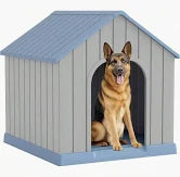 Dog House
