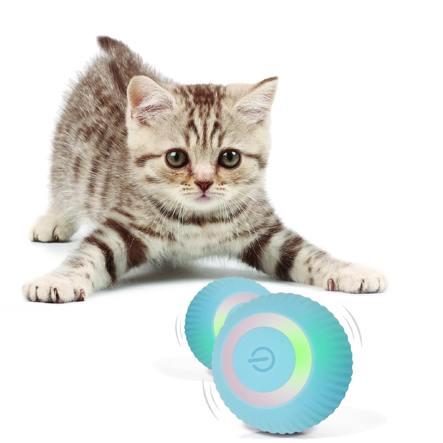 Interactive Cat Toys