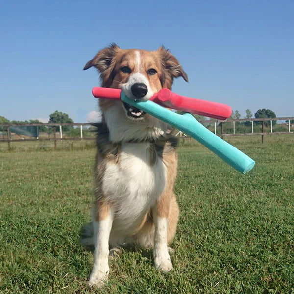 Fetch Toys