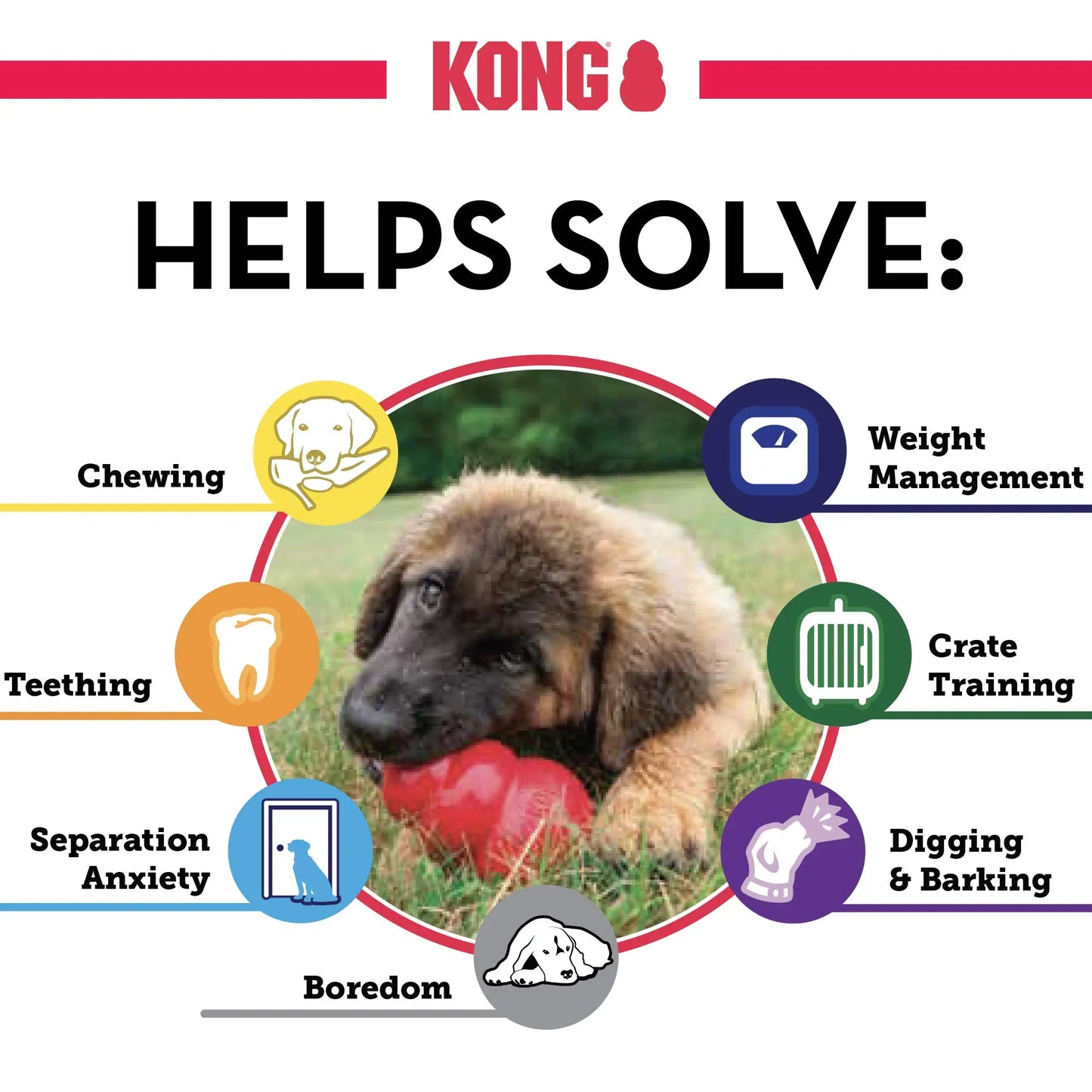 KONG Senior Dog Toy Gentle Natural Rubber Fun to Chew, Chase and Fetch Purple