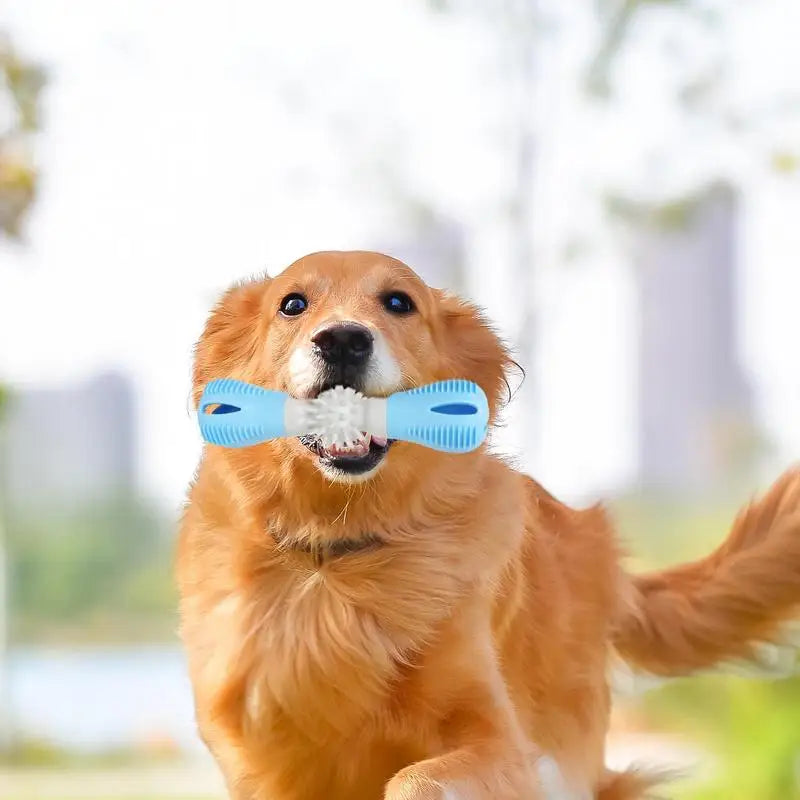 Dog Teeth Cleaning Toy Puppy Chewing Toy For Teething Interactive Rubber Chew Toys For Dogs Tough Dog Toothbrush Stick For Play