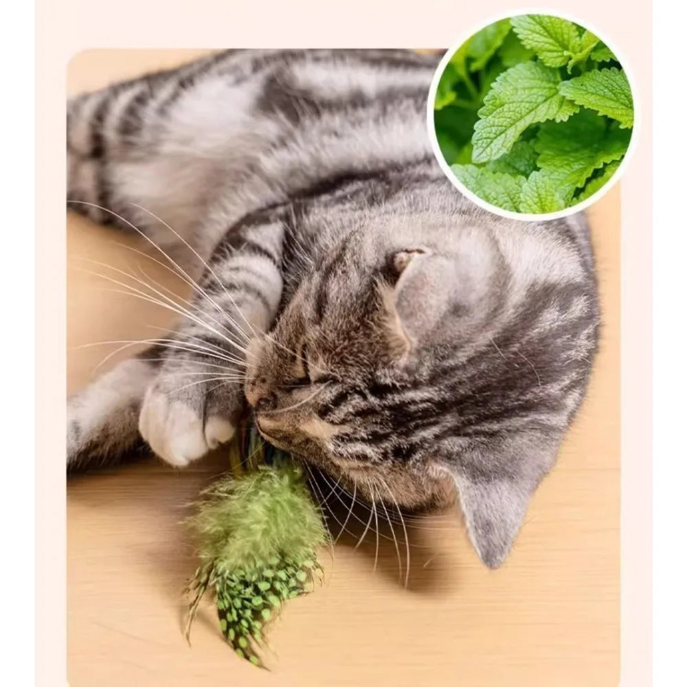 Cat toys, flying birds, cat toys, sparrows, cat claws, toys, vivid chirping, simulated birds, interactive cat toys