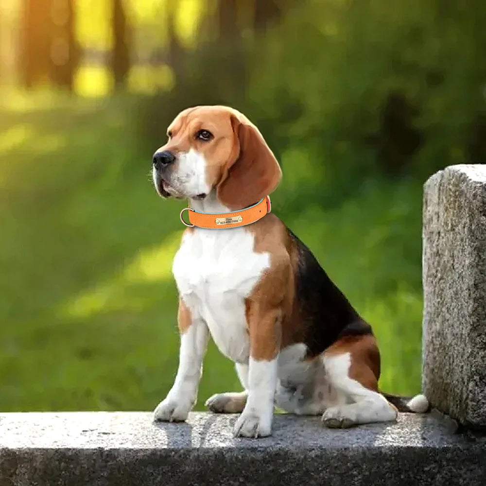 Personalized Dog Collar PU Leather Dogs Collars Free Engraving Pet ID Necklace Soft Padded for Small Medium Large Dogs Pug XS-XL