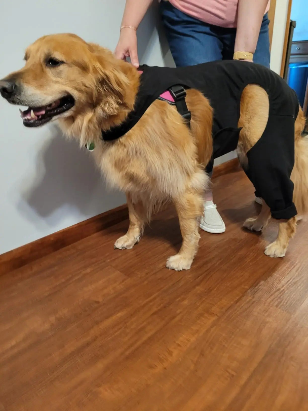 Dog leg rehabilitation suit, pet cover to prevent licking wound elbow protection, dog rehabilitation instead of sprain nursing