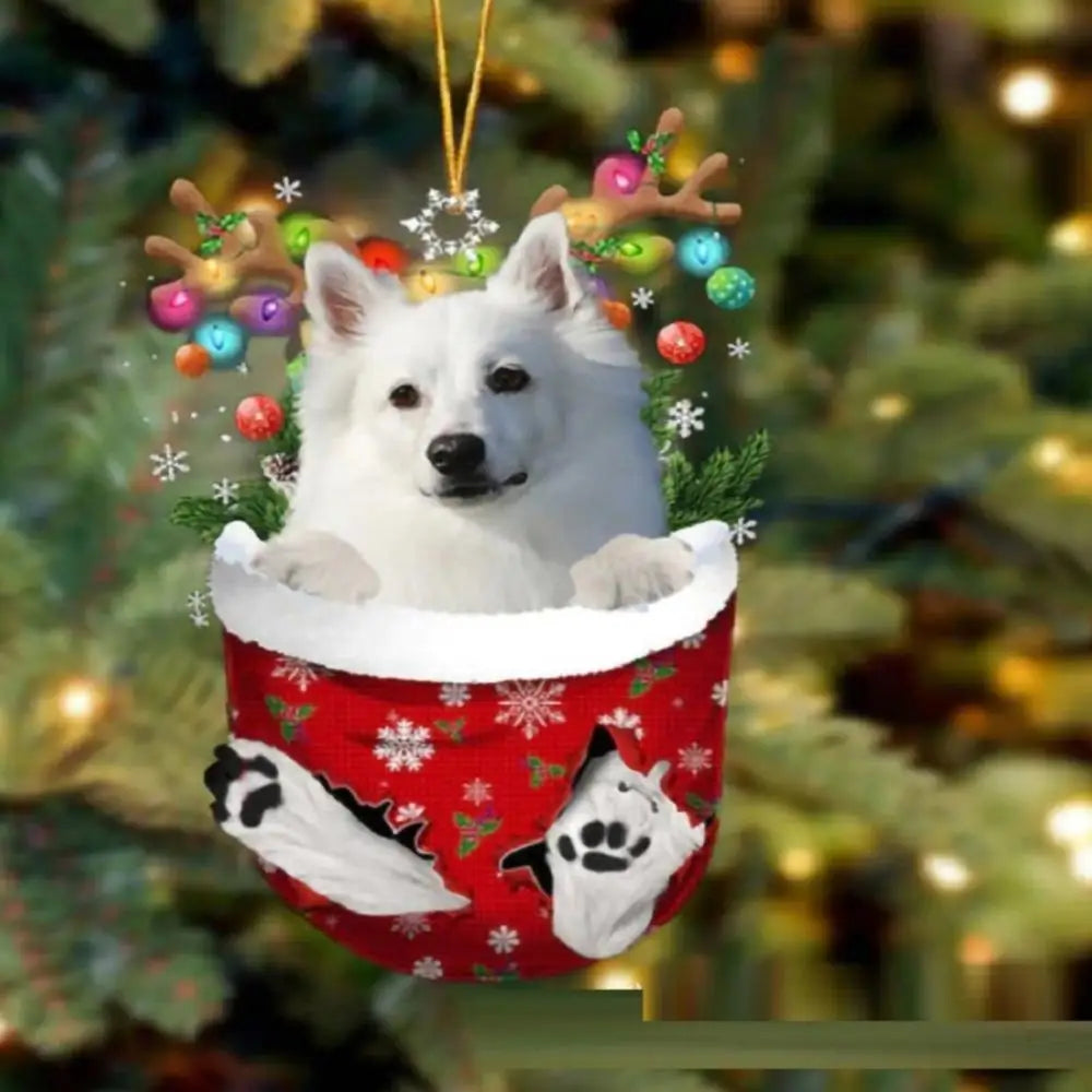 Christmas Cute Puppy Dog Shell Hanging Pendants Xmas Tree Drop Ornament Merry Chriatma Home Decor Happy New Year 2024