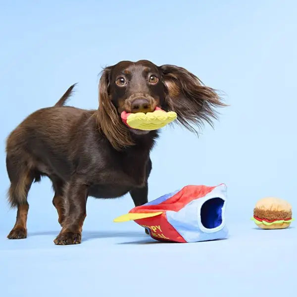 Doggy Bag Delivery Yappy Meal Surprise Dog Food Shaped Toy