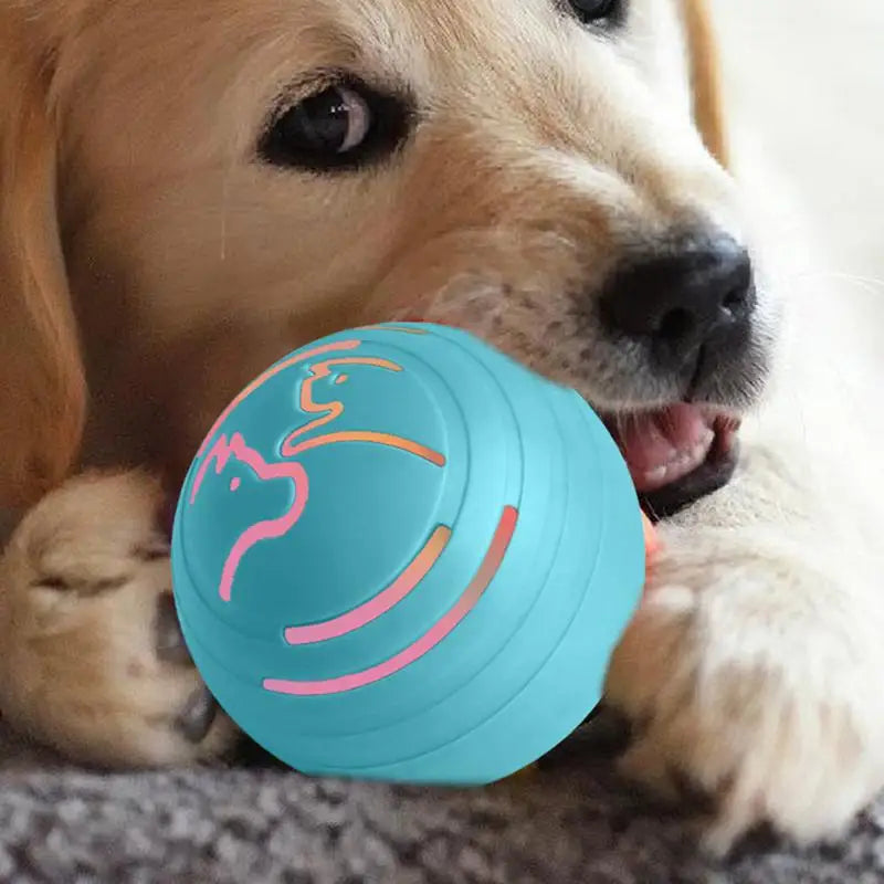 Automatic Rolling Ball For Cats Cats Dogs Rolling Bouncing Toys Ball Bite Resistant Interactive Bouncing Power Pet Ball for