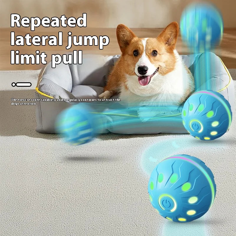 Automatic rolling ball dog and cat toys, durable dog chew ball toys, interactive cat and dog ball toys