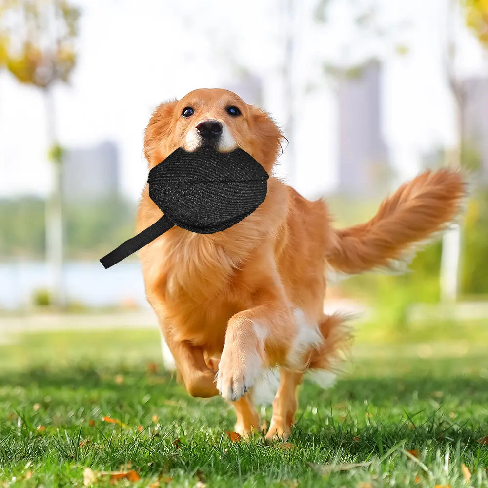 Pet dog toy chew bag tear-resistant cloth dog training interaction to satisfy the pet's chewing desire