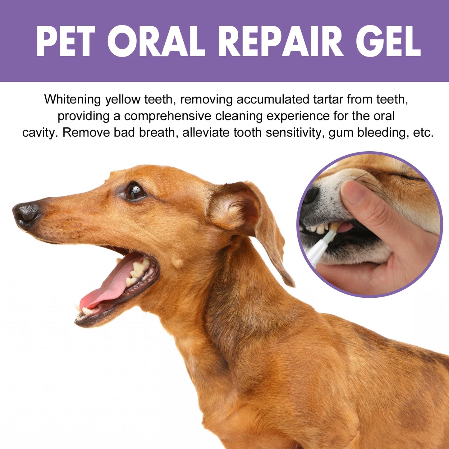 Pet Oral Repair Gel Pen for Cats Dogs Dental Stain Cleaning Grooming Tartar Control Soothes Gums Freshen Breath Pet Supplies
