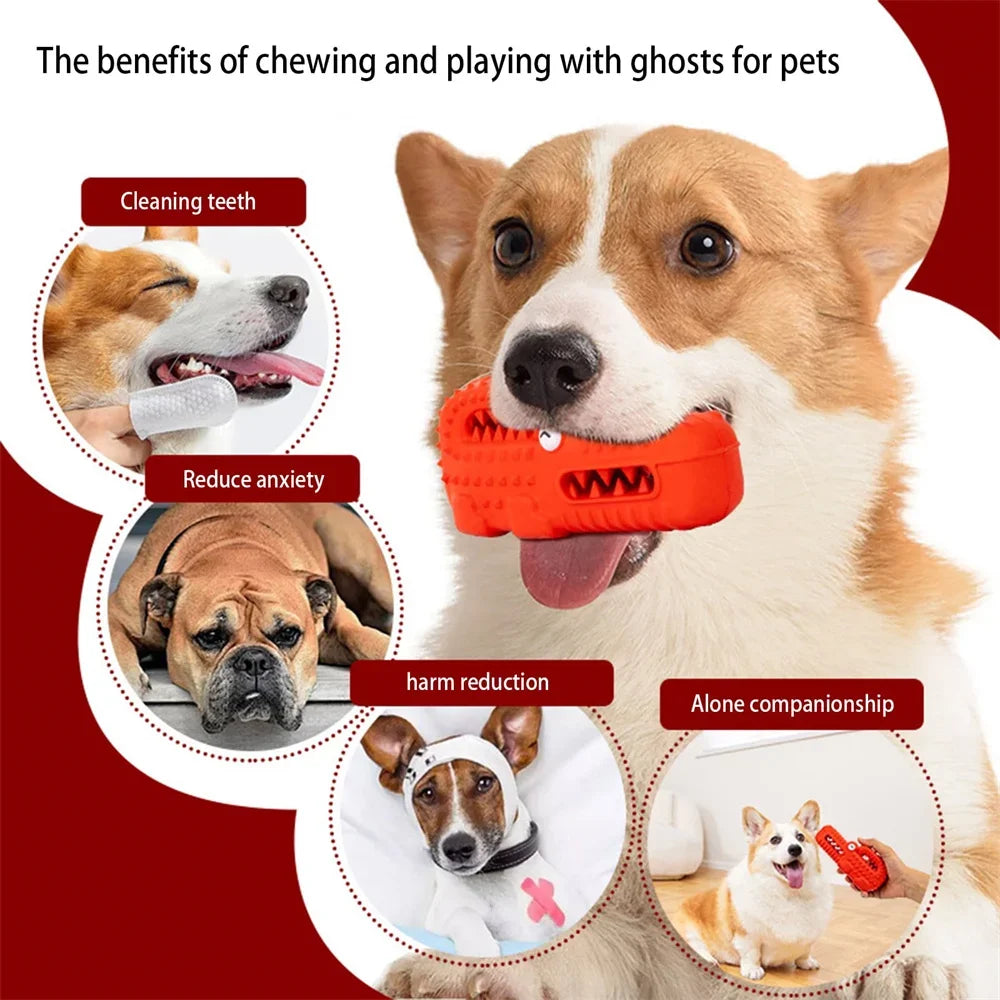 Dog Chew Toys for Aggressive Chewers Squeaky Tough Durable Toothbrush Interactive Toys Mental Stimulation Chew Toys Collection