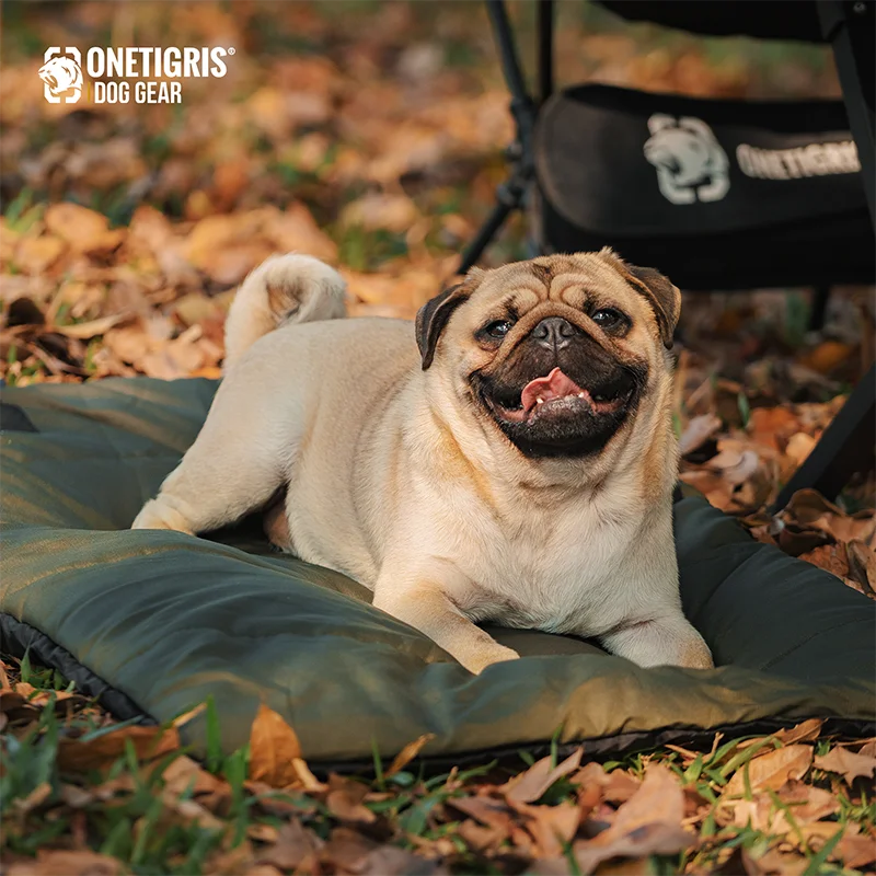 OneTigris Portable Dog Mats for Sleeping, Washable Mattress Anti-slip Cushion for Dog Cot, Water-Resistant Pet Bed for Outdoors