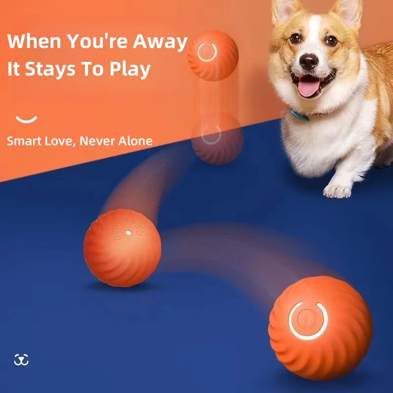 Rechargeable Smart Pet Toy Ball Electric Automatic Rolling Bouncing Ball Indoor Self Play Boredom Relief Interactive Game For Cat Dog