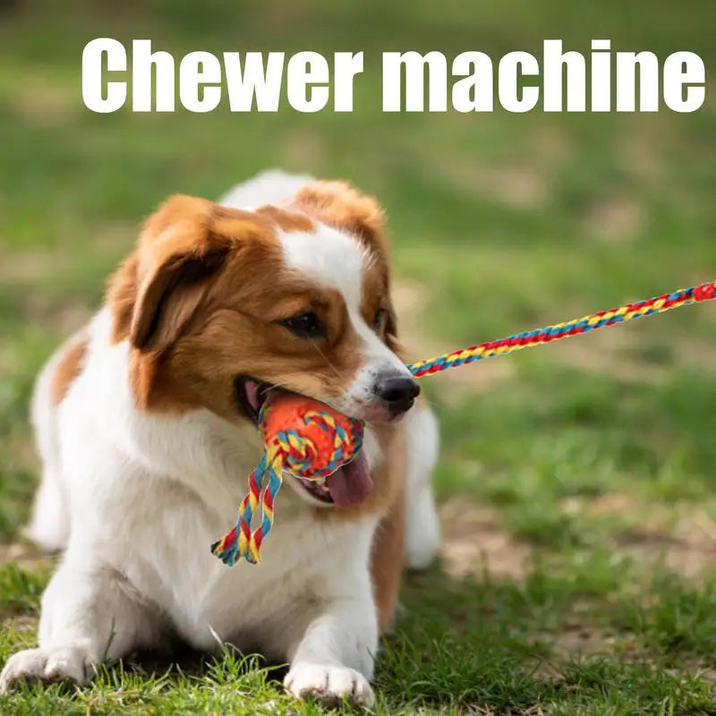 Dog Toys For Aggressive Chewer Puppy Hewer's Delight Teething Toys Safe Teeth Cleaning Accessories For Pet Training &