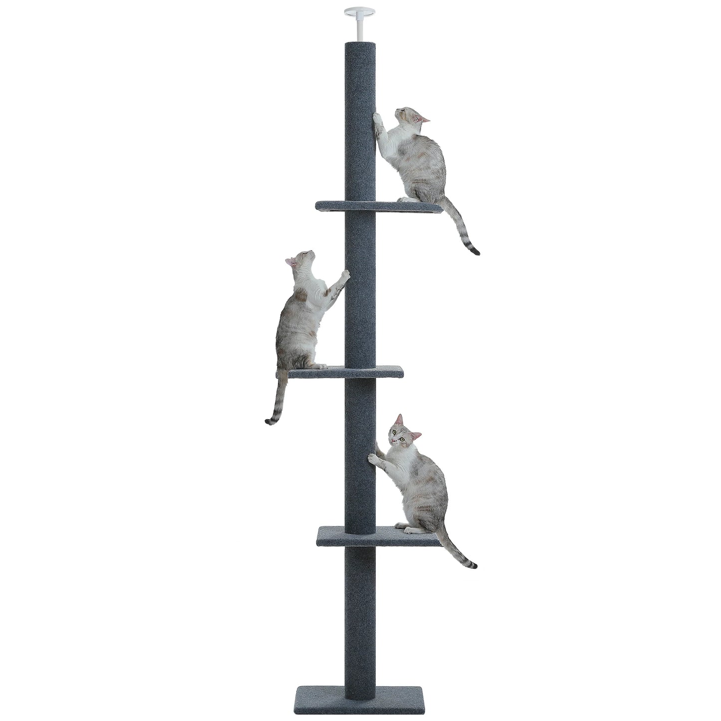 Adjustable Height Cat Tree for Indoor, Floor to Ceiling Cat Tower with Scratching Posts, Cat Scratcher Furniture, Kitten Toys