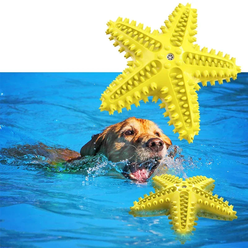 Sound Starfish Dog Toy Teeth Grinding Fun Toothbrush Pet Toy for Dogs New Hit Interactive Chew Toy for Your Furry Friend