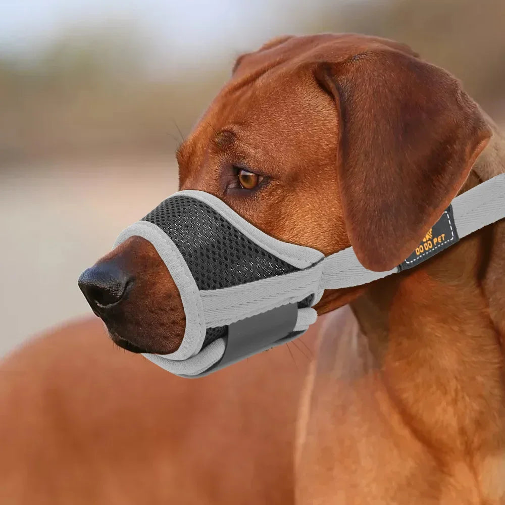 Breathable Mesh Pet Dog Muzzle Adjustable Anti Bark Dog Mouth Mask Cover Stop Chew Grooming Dog Muzzles Training Pet Accessories