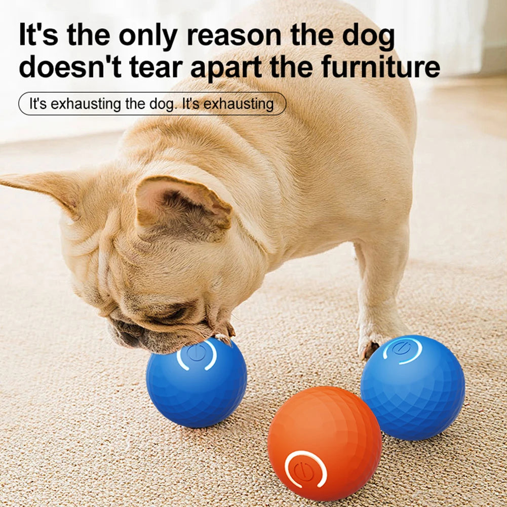 Dog Toy Ball USB Rechargeable Smart Electric Ball Toy  Automatic Rolling Ball Toys for Puppy/Small/Medium Dogs