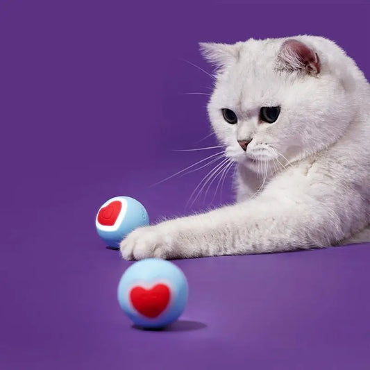 Vibrating Dog Ball Heart-Style Automatic Rolling Ball USB Rechargeable Pet Bounce Toy For Small Medium Large Puppies