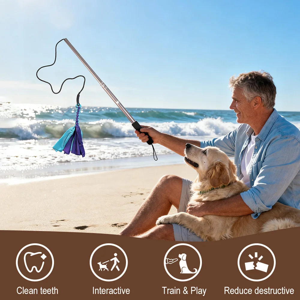 Retractable Dog Stick Interactive Dog Toys Dogs Flirt Lure Pole Stick Toys Training Chewing Rope Exerciser For Pets Outdoor Toy