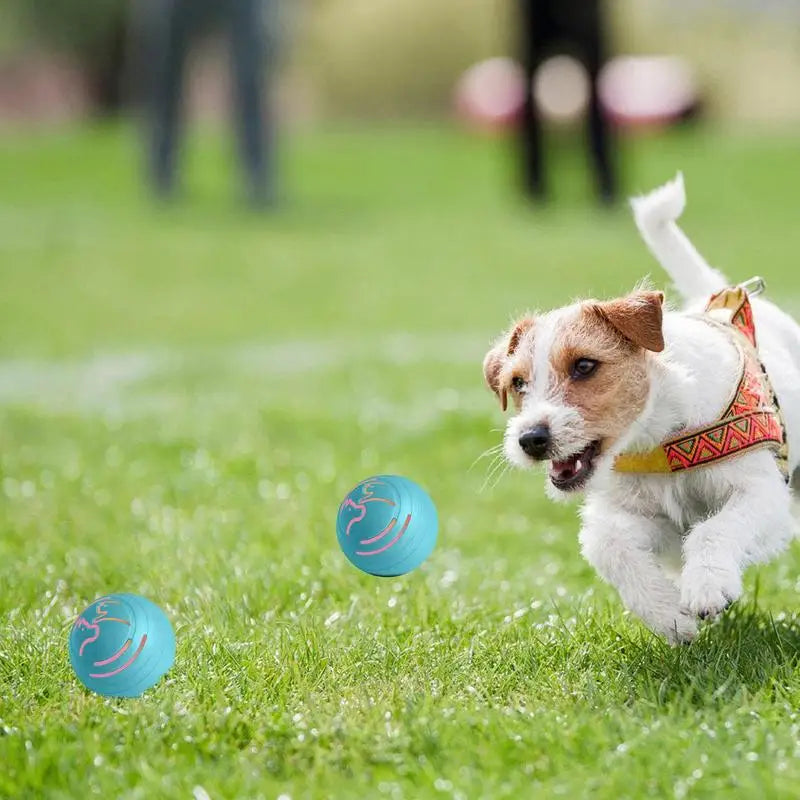 Automatic Rolling Ball For Cats Cats Dogs Rolling Bouncing Toys Ball Bite Resistant Interactive Bouncing Power Pet Ball for