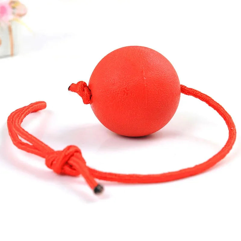 Indestructible Dog Ball Pet Training Dog Toy Puppy Tug Balls Toys Pet Chew Toys Solid Rubber Balls with Rope Pet Toy Cat toys