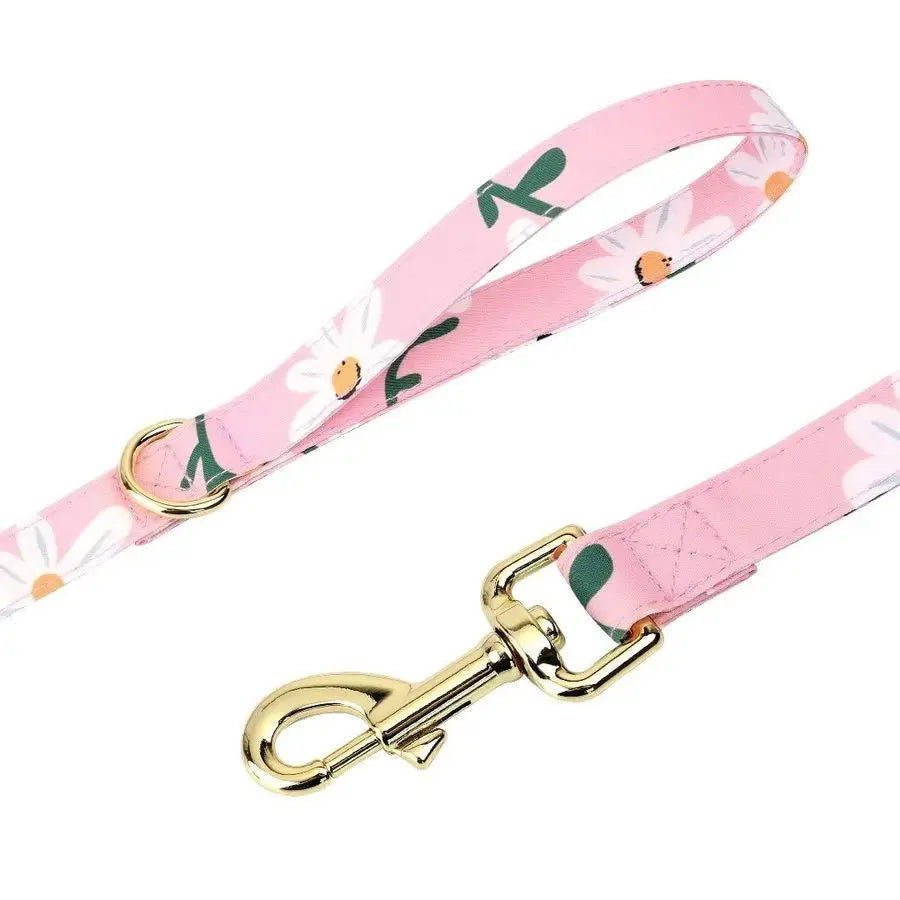 Cute Girl Dog Collars, Harnesses amp Leashes Set Adjustable Dog Collar and Leash Set with Flower Soft Mesh Dog Vest Harness for