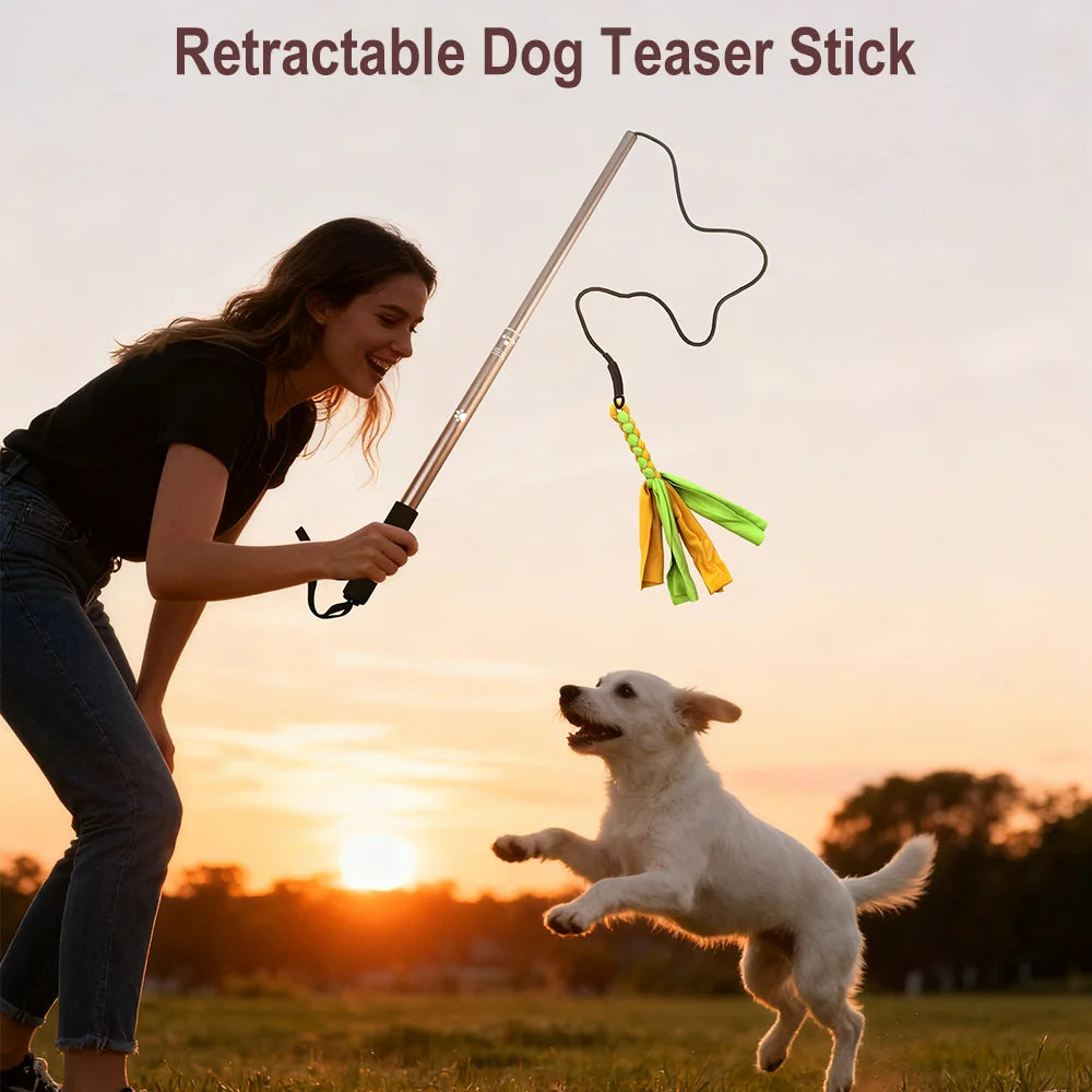 Retractable Dog Stick Interactive Dog Toys Dogs Flirt Lure Pole Stick Toys Training Chewing Rope Exerciser For Pets Outdoor Toy