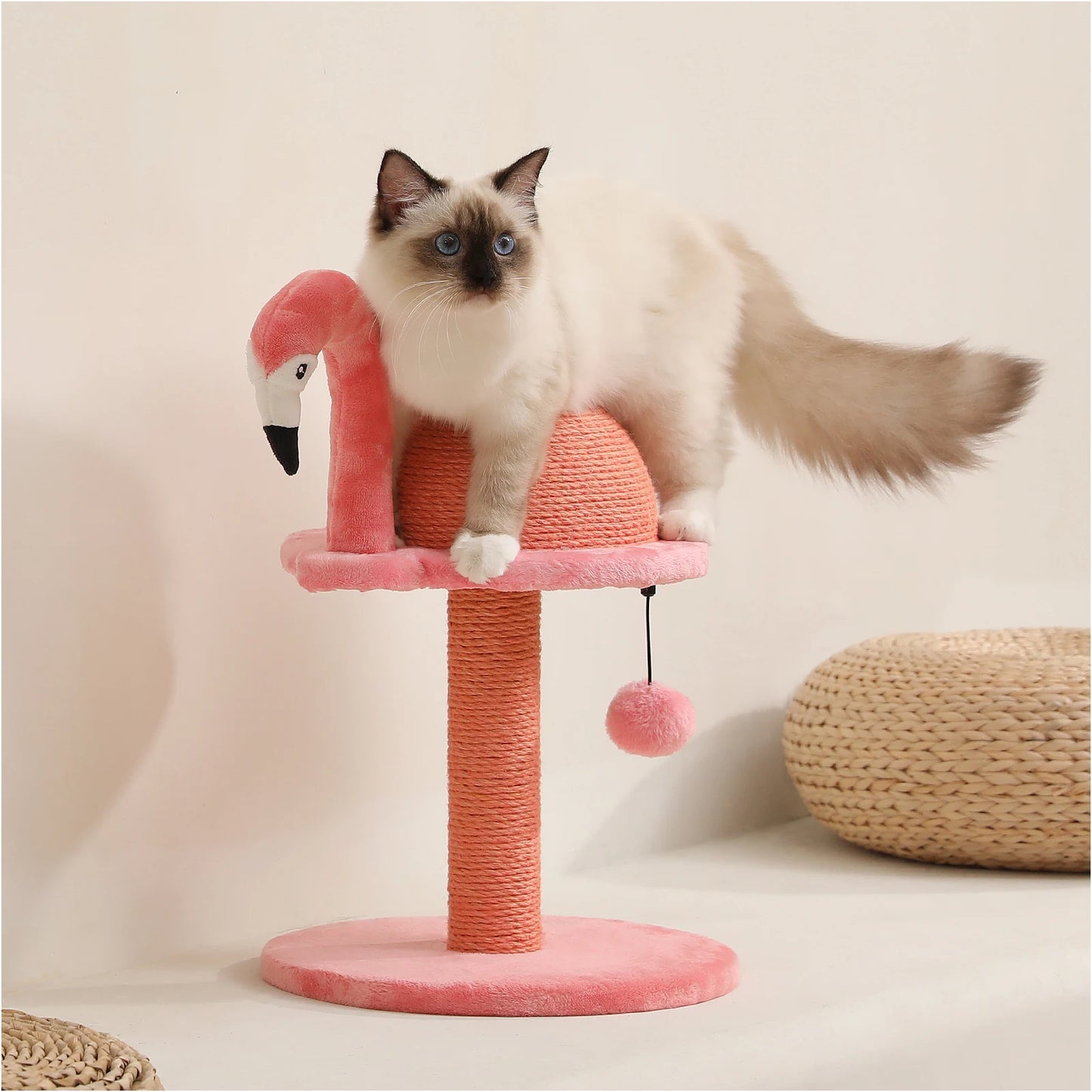 Safe Cat Scratching Post with Unique Design,Cat Accessories,Cat Scratcher,Cat Toys,Ideal for Claw Sharpening&Feline Fun,Indoor