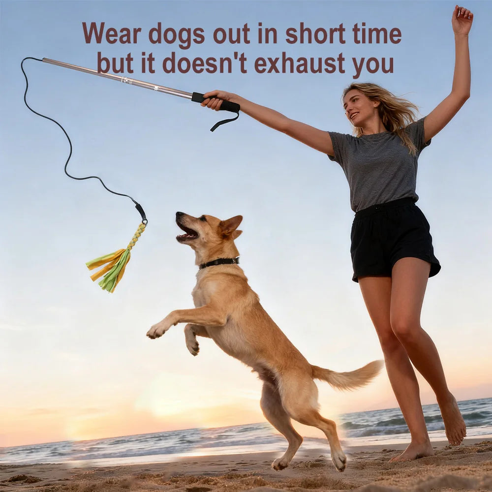 Retractable Dog Stick Interactive Dog Toys Dogs Flirt Lure Pole Stick Toys Training Chewing Rope Exerciser For Pets Outdoor Toy