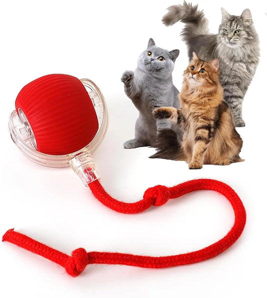 Durable Automatic Chase Ball Cat Toy with Speedy Tail, Interactive Fun for Indoor Cats, Red