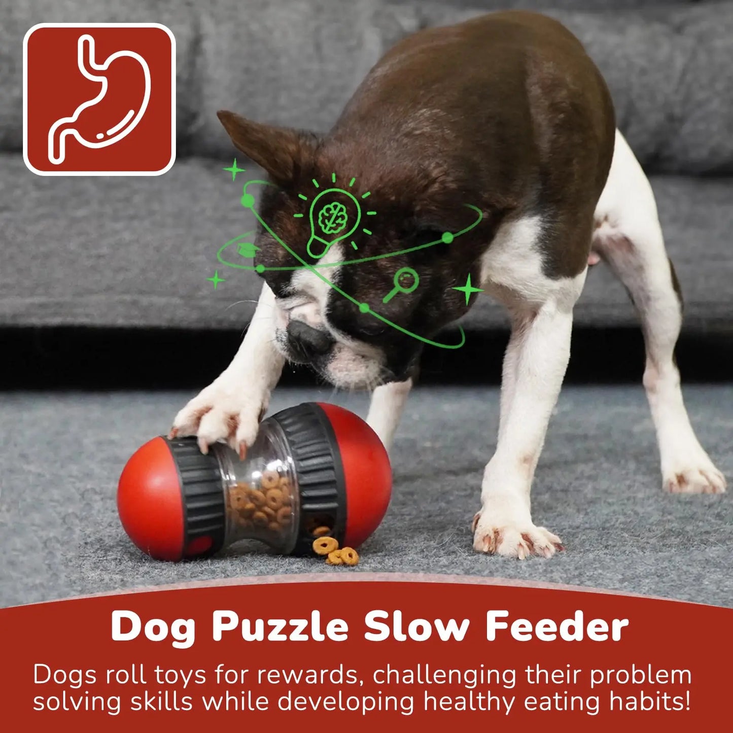 New Dog Toy For Small Medium Large Dogs Cats Slow Feeder Pet Improve IQ Indoor Training Puppy Toys Chihuahua Beagle Pet Supplies