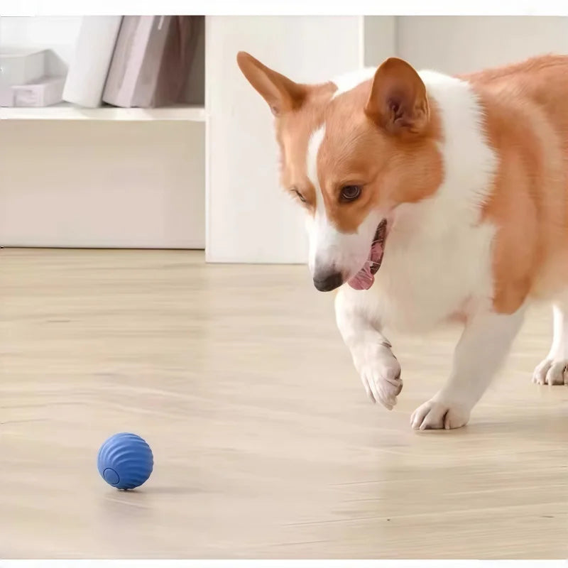 Rechargeable Smart Pet Toy Ball Electric Automatic Rolling Bouncing Ball Indoor Self Play Boredom Relief Interactive Game For Cat Dog