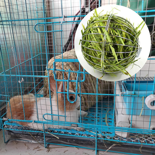 Small Pets Grass Ball Holder Stainless Steel/Plastic Rabbit Guinea Pig  Dutch Pig Grass Rack Ball Can Be Hung On a Feeding Rack