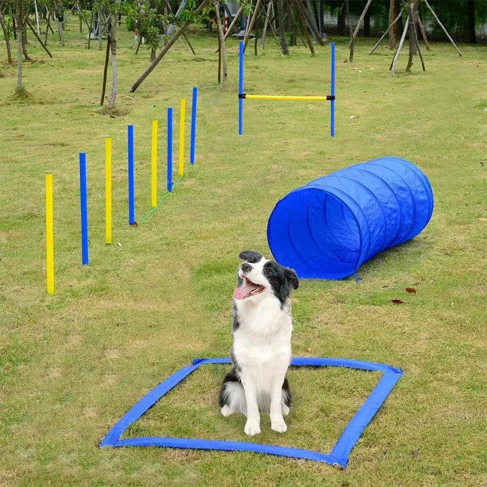 PAWISE Dog Agility Training Equipment,Dog Obstacle Course Kit for Training, Jumping Hurdle Pet Agility Tunnel