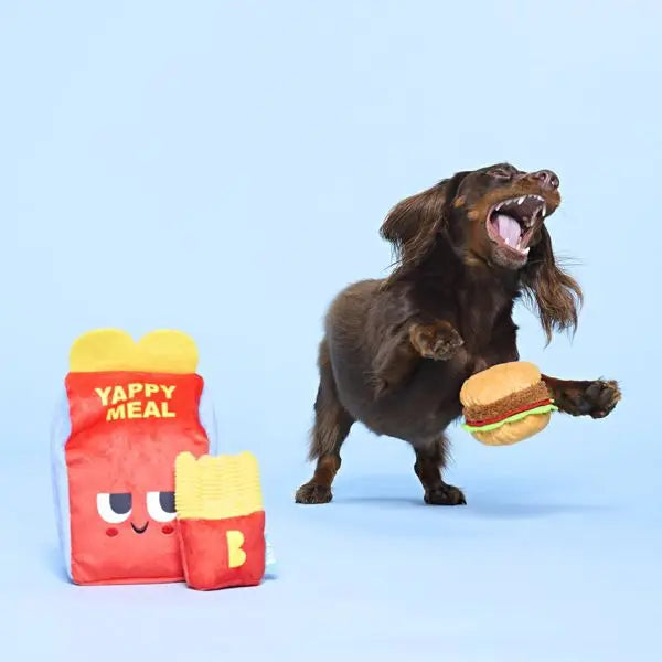 Doggy Bag Delivery Yappy Meal Surprise Dog Food Shaped Toy