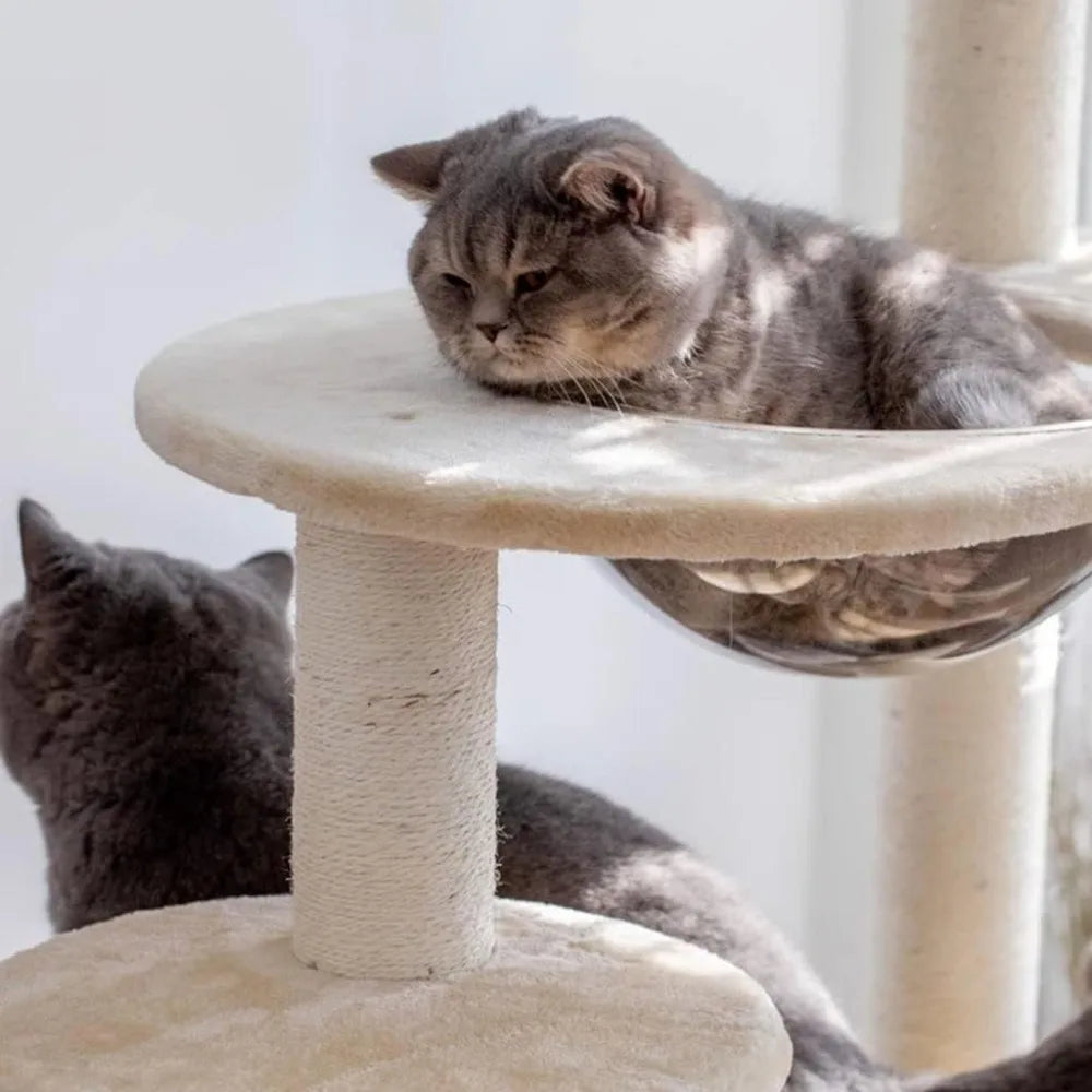 Heavy-Duty Indoor Cat Tree for Large Cats up to 20 Lbs, Climbing Frame with Space Capsule Design for Feline Play and Rest