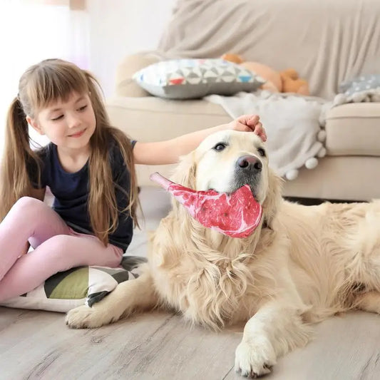 Squeaky Chew Toys For Dog Steak Shape Design Squeaker Doll For Puppy Tough Bite-Resistant Pet Fetch Toys For Medium And Large