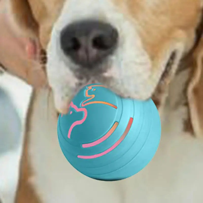 Automatic Rolling Ball For Cats Cats Dogs Rolling Bouncing Toys Ball Bite Resistant Interactive Bouncing Power Pet Ball for