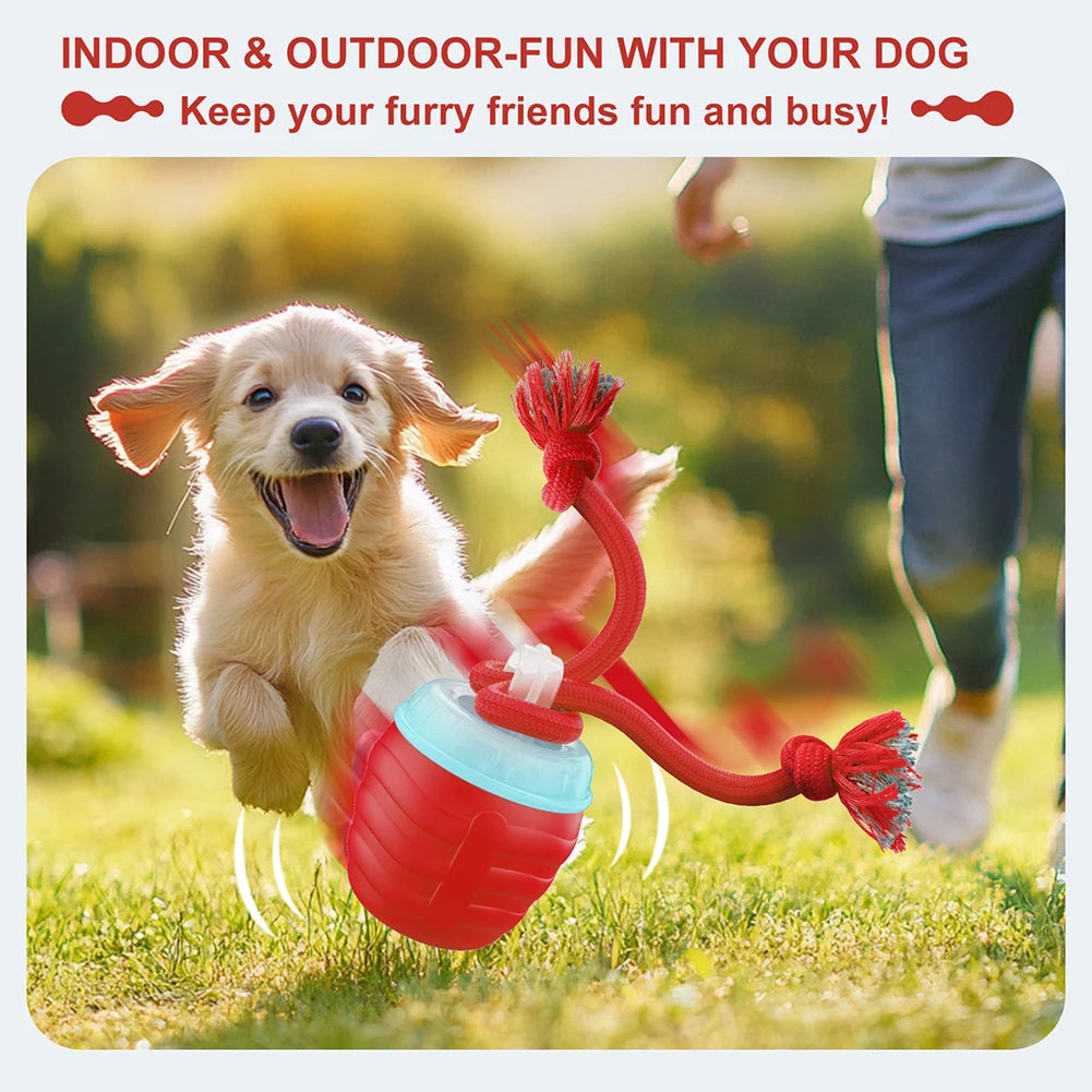 Interactive Dog Toys Ball for Boredom Active Rolling Ball with Tail for Dogs Indoor Training Toy
