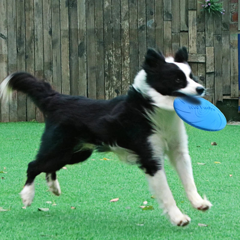 TPR Big Dog Training Toy Flying Discs Disk Interactive Pet Toys for Small Large Dogs Border Collie Labrador mascotas Accessories