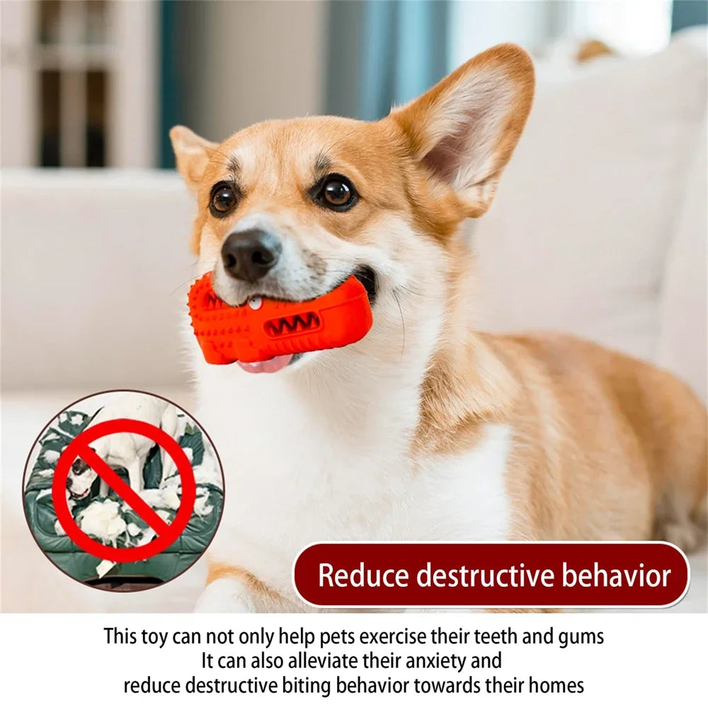 Dog Chew Toys for Aggressive Chewers Squeaky Tough Durable Toothbrush Interactive Toys Mental Stimulation Chew Toys Collection