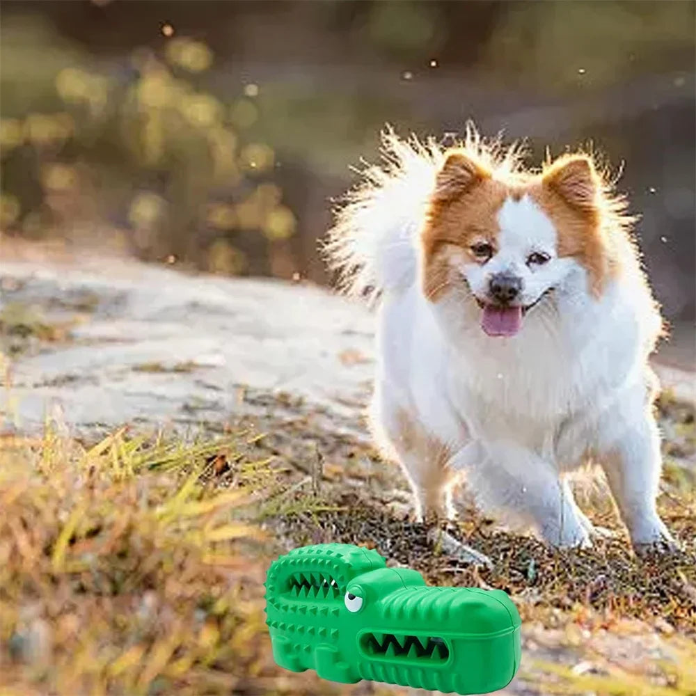 Dog Chew Toys for Aggressive Chewers Squeaky Tough Durable Toothbrush Interactive Toys Mental Stimulation Chew Toys Collection