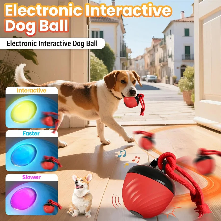 Interactive Smart Dog Balls Toys Sport Bite Resistant USB Charging Tail Rope Mobile Ball with Light Barking for Small/Medium Dog