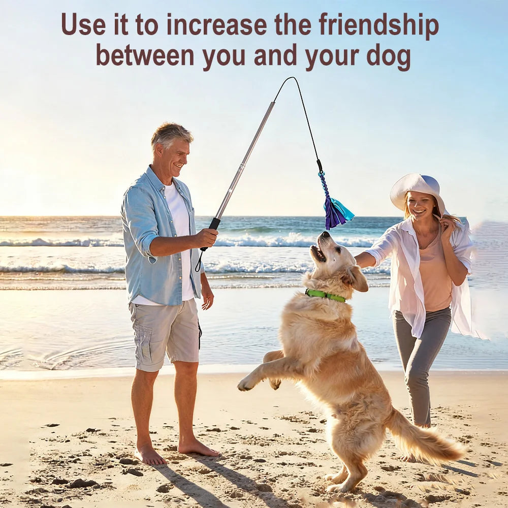 Retractable Dog Stick Interactive Dog Toys Dogs Flirt Lure Pole Stick Toys Training Chewing Rope Exerciser For Pets Outdoor Toy