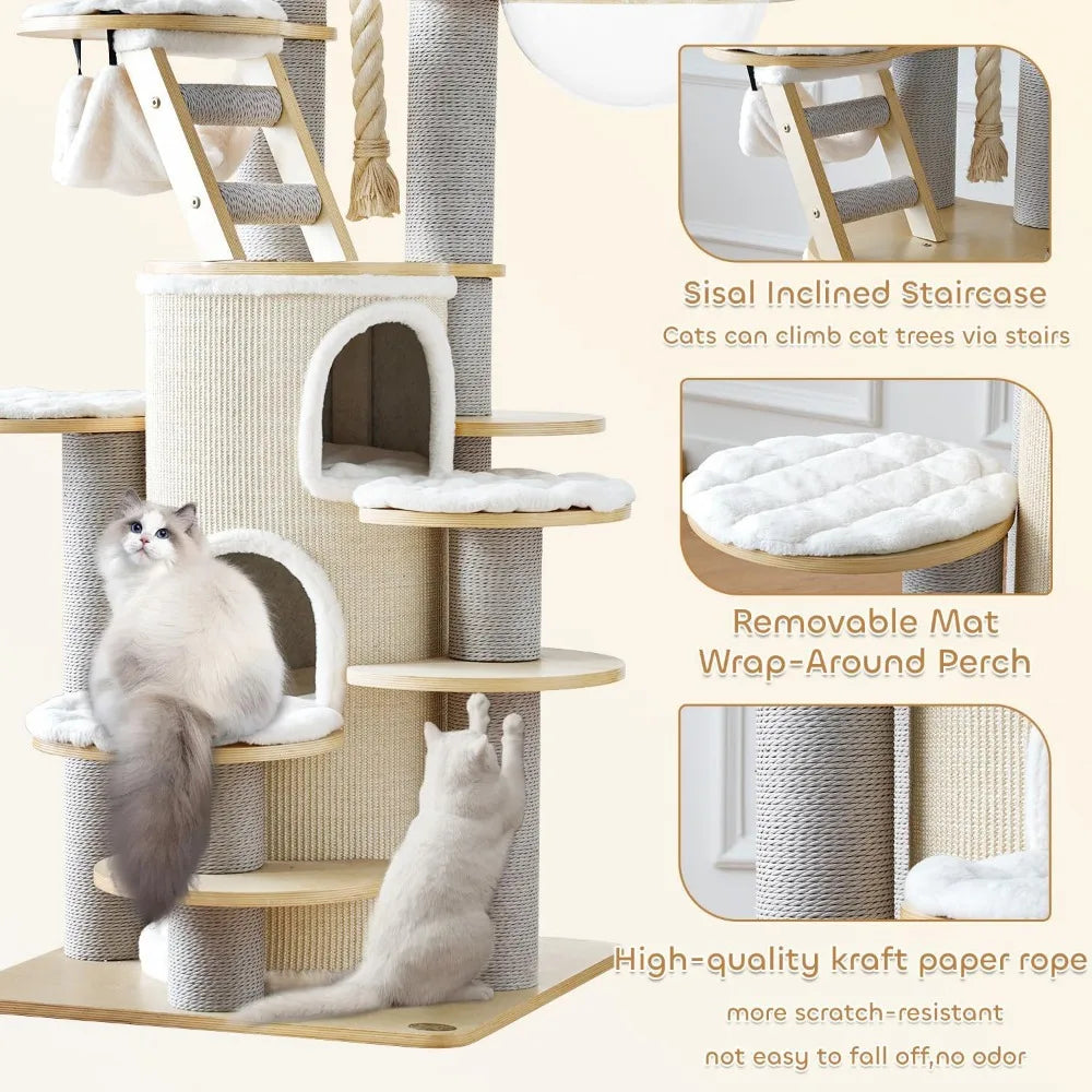 "63-inch tall solid wood indoor cat tree house for large maine coons - multi-level heavy duty luxury cat tower"