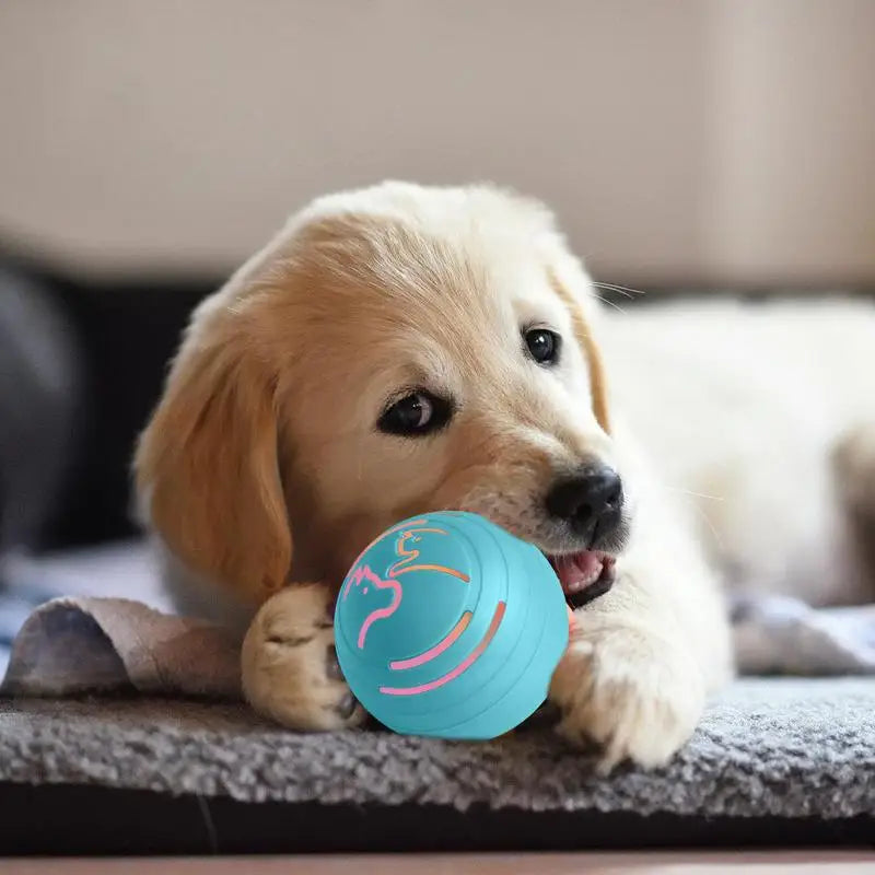 Automatic Rolling Ball For Cats Cats Dogs Rolling Bouncing Toys Ball Bite Resistant Interactive Bouncing Power Pet Ball for