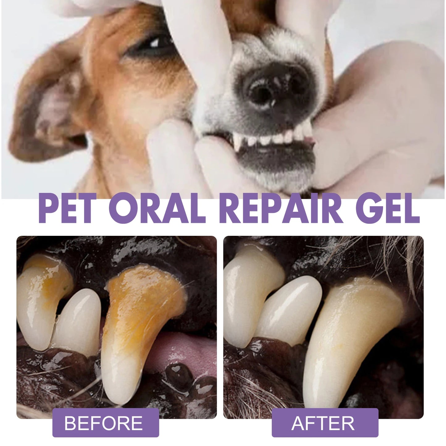 Pet Oral Repair Gel Pen for Cats Dogs Dental Stain Cleaning Grooming Tartar Control Soothes Gums Freshen Breath Pet Supplies